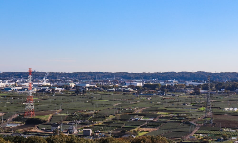 埼玉県入間市の街の風景